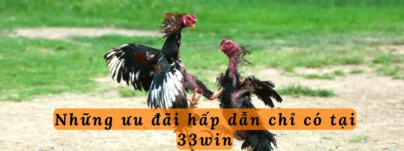 Trải nghiệm cảm giác hồi hộp trong từng trận đấu